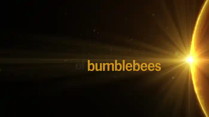 Bumblebee (Lyric Video)