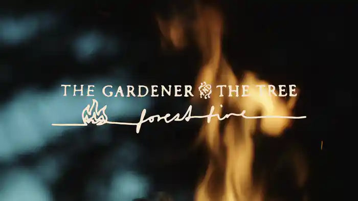 forest fire (Visualizer)