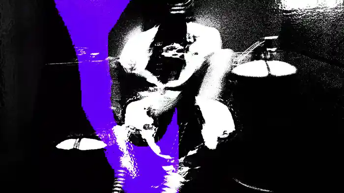 COLLECTION (Visualiser)