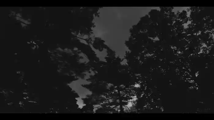 Cuore Indigo (Visualizer)