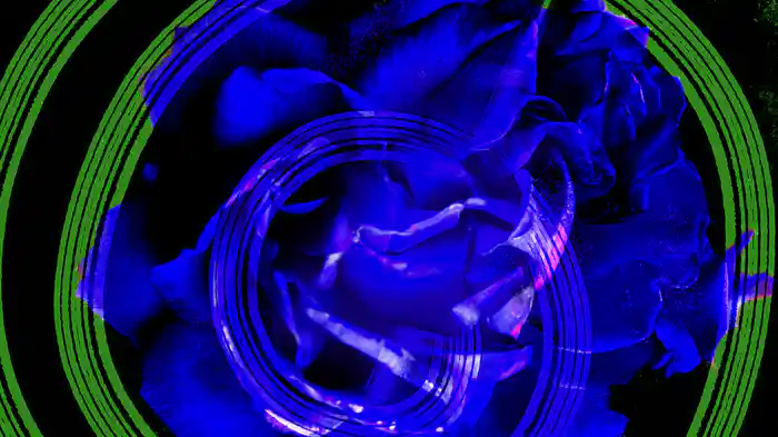 Paint The Red Rose Blue (Lyric Video)