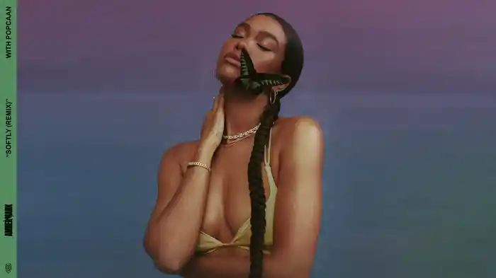 Softly (Remix / Visualiser)