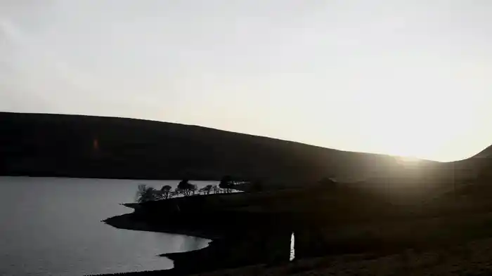 In Memory (Visualizer)
