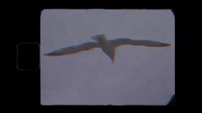 Aero (Visualizer)