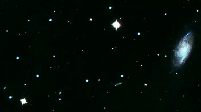 Baller (Lyric Video)