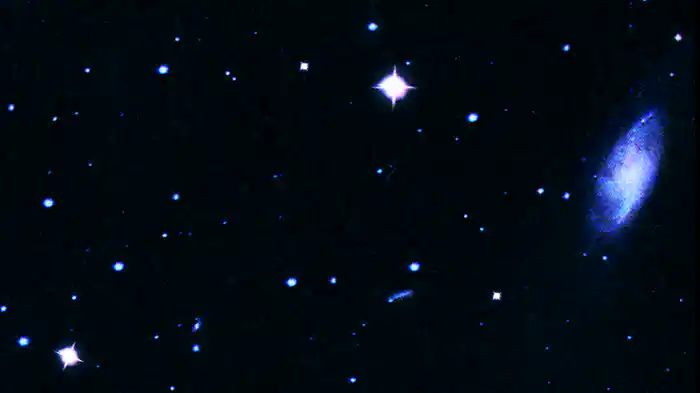 Franko (Lyric Video)