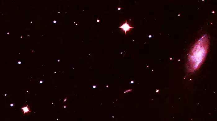 Bumerang (Lyric Video)