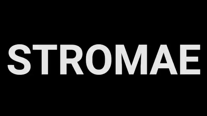 Stromae Vu Par … / Stromae Seen By …