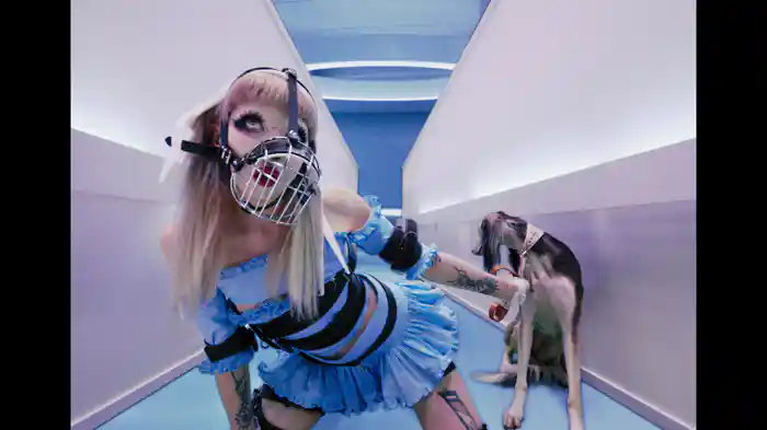 Puppy Pound