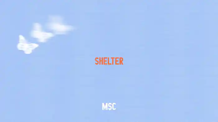 Shelter (Audio)