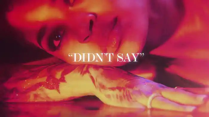 Didn't Say (Lyric Video)