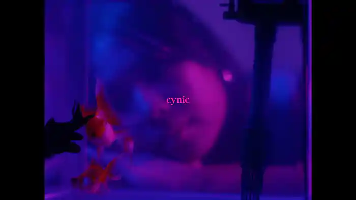 CYNIC (Visualizer)