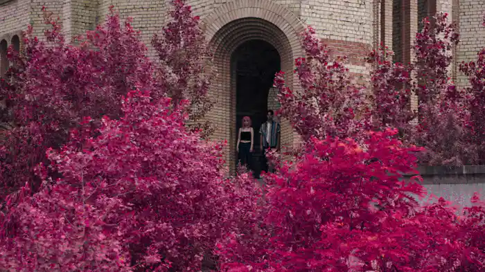 Somebody Loves You (Visualizer)