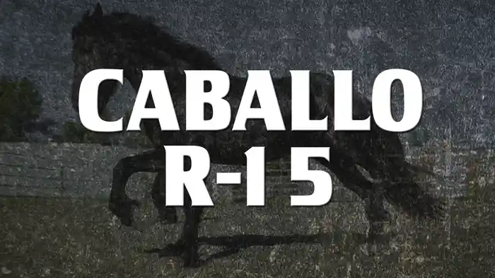 Caballo R-15 (LETRA/En Vivo)