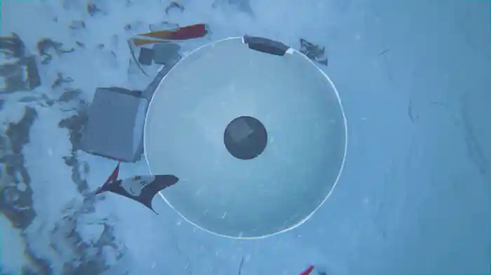 Catalyst (Visualizer)