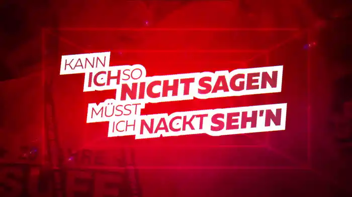 Kann ich so nicht sagen müsst ich nackt seh'n (Lyric Video / Version 2022)