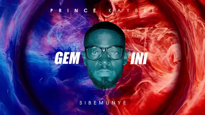 Sibemunye (Visualizer)