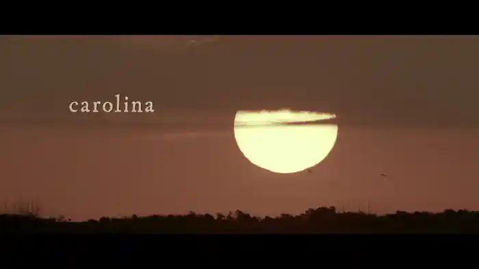 Carolina (From The Motion Picture “Where The Crawdads Sing” / Lyric Video)