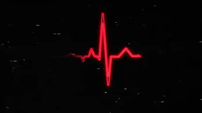 Heartbreaker (Lyric Video)