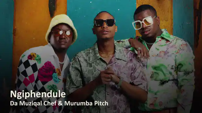 Ngiphendule (Visualizer)