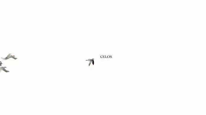 Celos (Lyric Video)