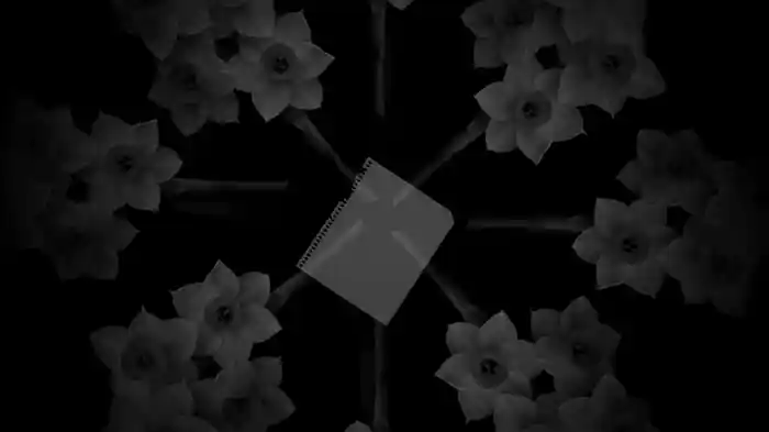 Coming Back To You (Lyric Video)