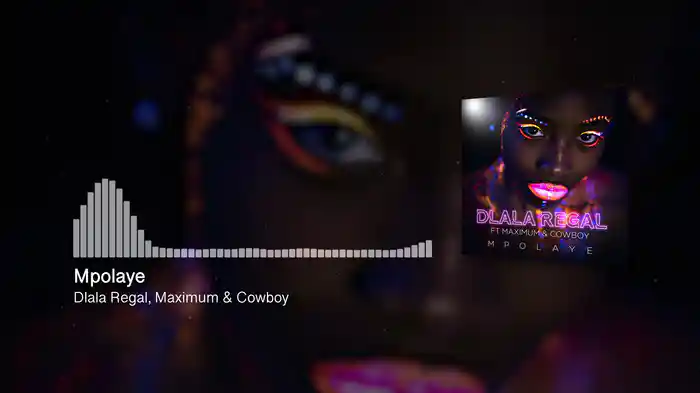 Mpolaye (Visualizer)