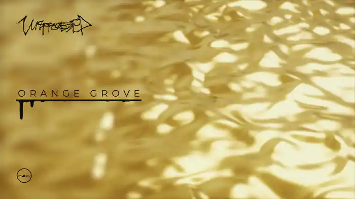 Orange Grove (Audio)