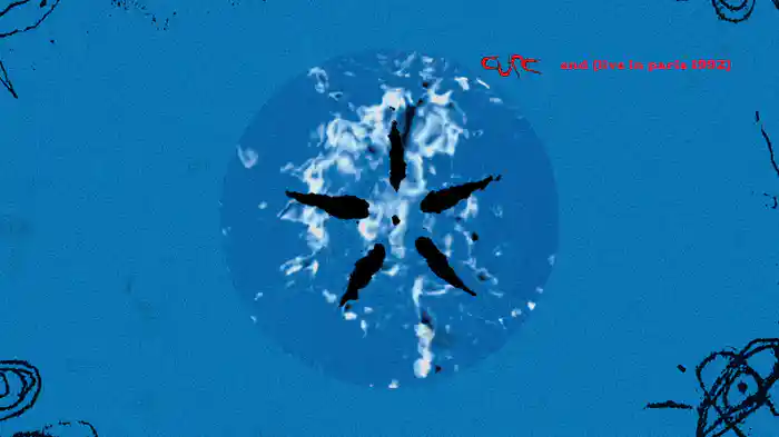 End (Live In Paris / 1992 / Visualiser)