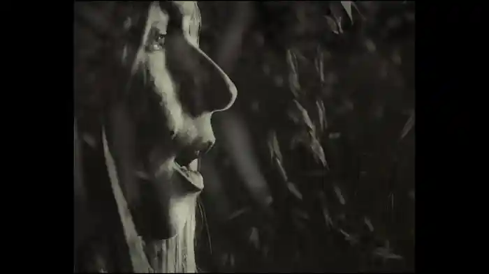 Nana A Medias (Canción Original De La Película “Pico Reja”)