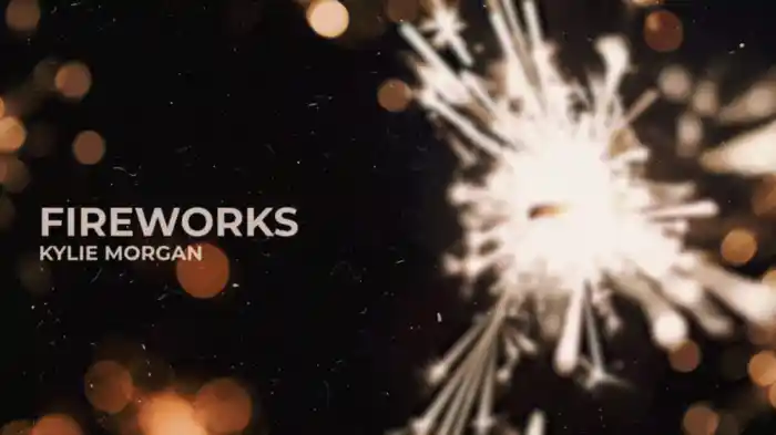 Fireworks (Visualizer)