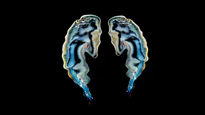 Ready To Fly (Visualiser)