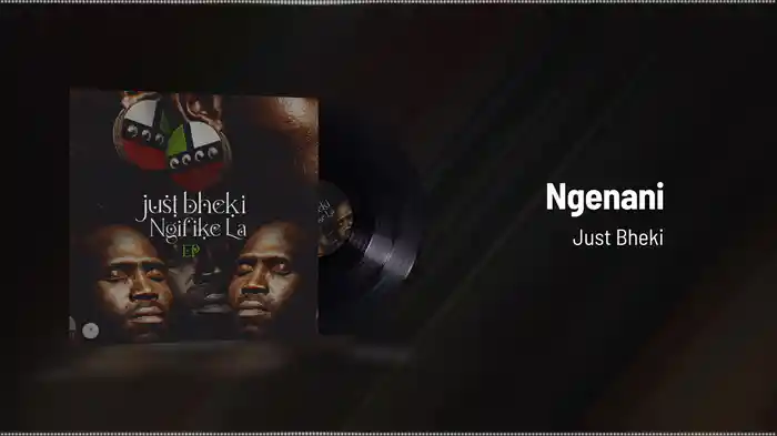 Ngenani (Visualizer)