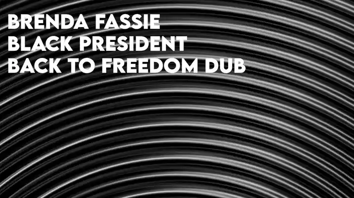 Black President (Back To Freedom Dub / Visualizer)
