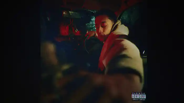 Polyfilla (Visualiser)