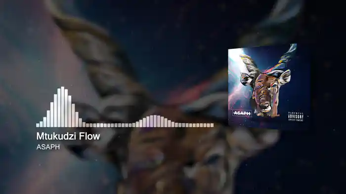 Mtukudzi Flow (Visualizer)