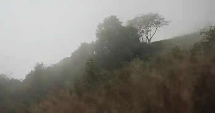 Suara Dunia (Visualiser)