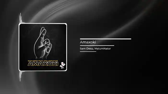 Amaxoki (Visualizer)