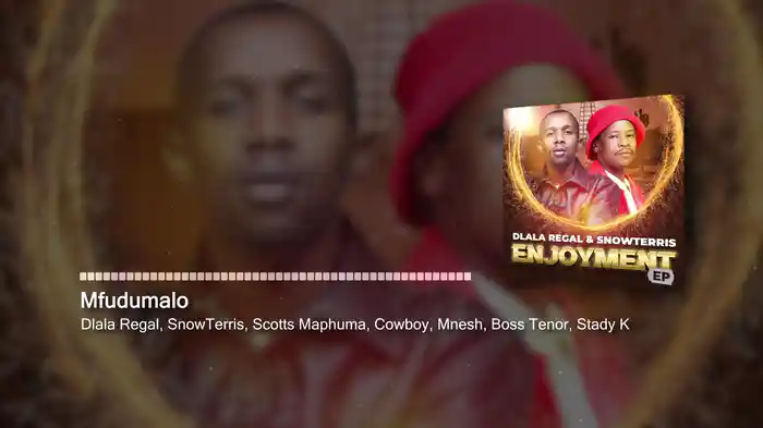 Mfudumalo (Visualizer)