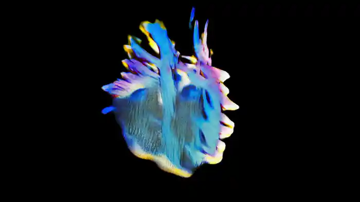 Vibration (One More Time) (Visualiser)