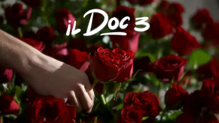 Il Doc 3