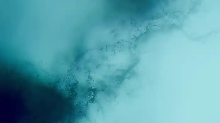 Receiving (Visualiser)