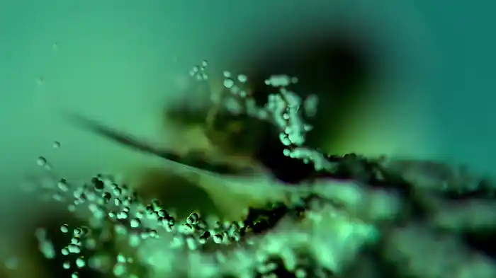 Let You In (Visualiser)