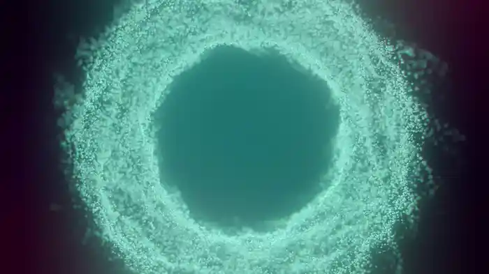 Invitation (Visualiser)