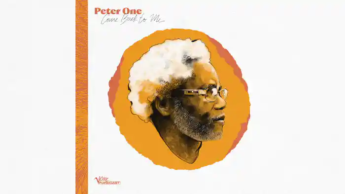 Birds Go Die Out Of Sight (Don't Go Home) (Audio)