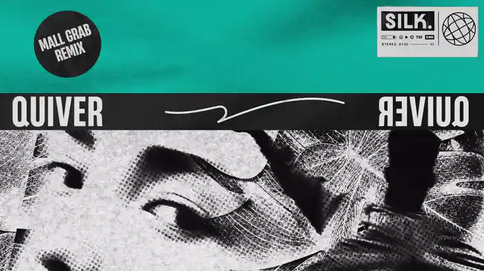 Quiver (Mall Grab Remix / Audio)
