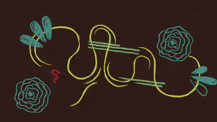 Cherie Vico (Visualizer)