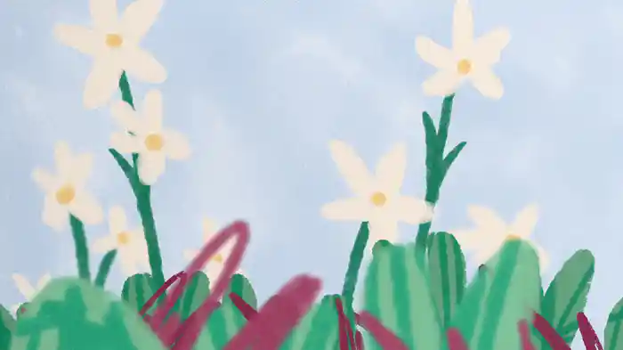 milkwood (Visualiser)