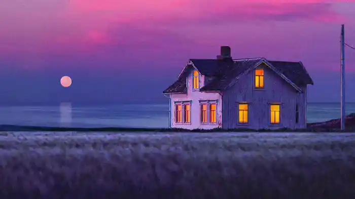 Shelter (Visualiser)