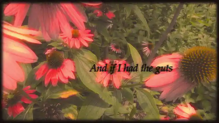 Guts (Lyric Video)